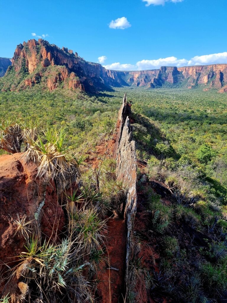 VALE DO RIO CLARO CAMINHADA NA TRILHA (TREKKING ) Chapada dos Guimarães